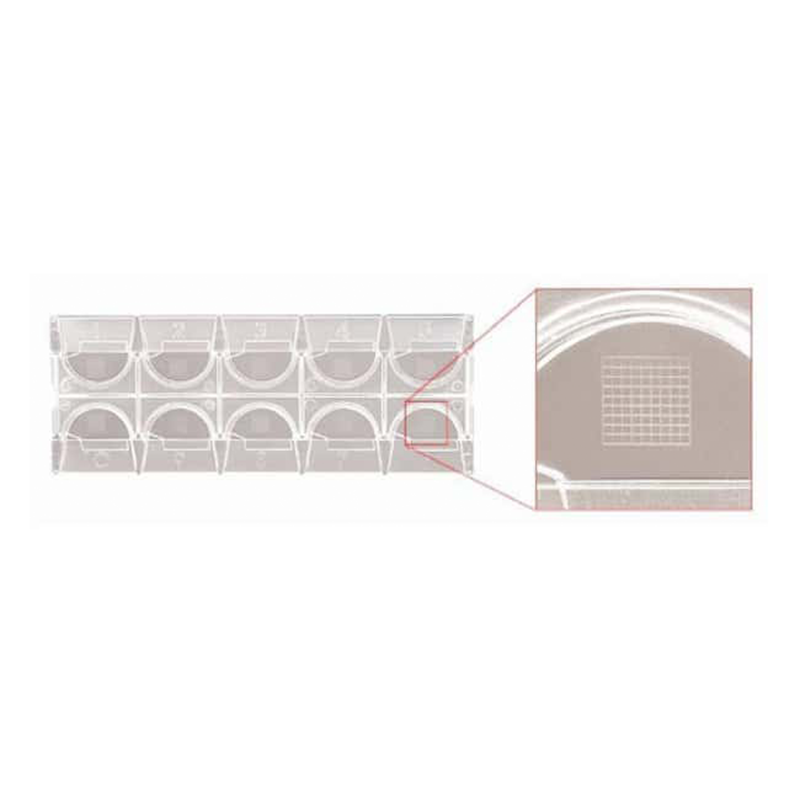 Slides with Counting Grids